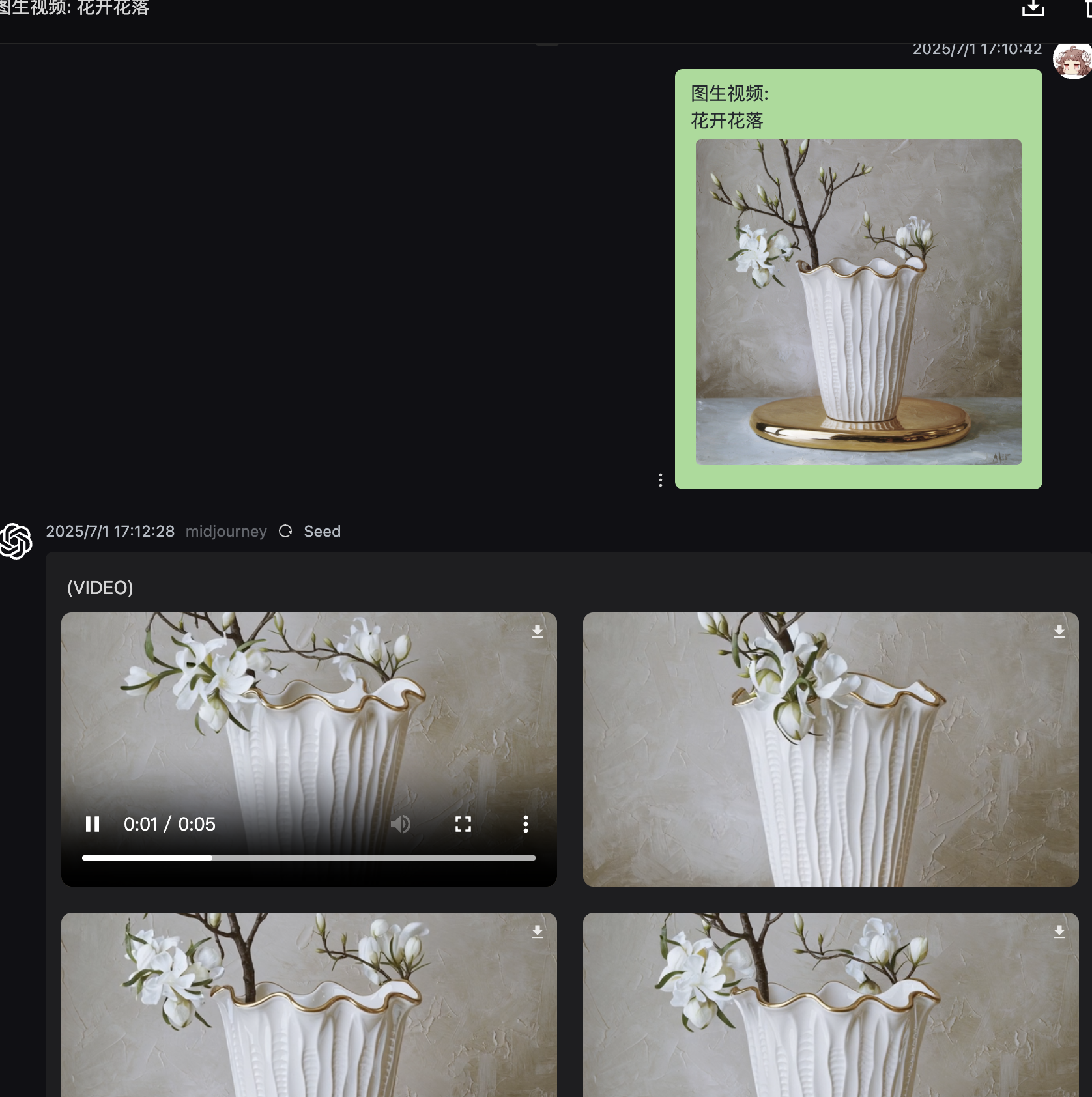mjVideo